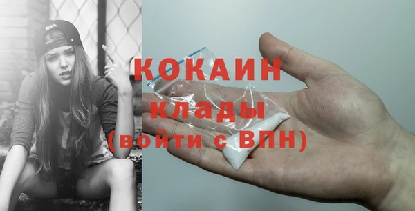 PSILOCYBIN Горняк