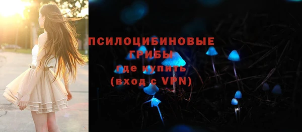 PSILOCYBIN Горняк
