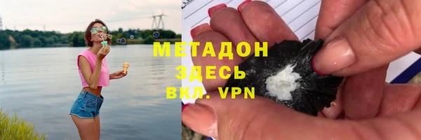 PSILOCYBIN Горняк