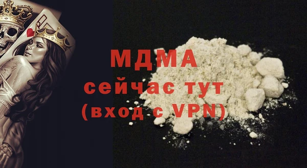 PSILOCYBIN Горняк