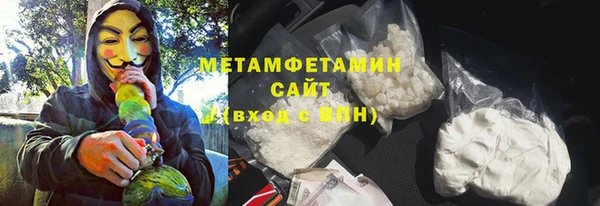 PSILOCYBIN Горняк