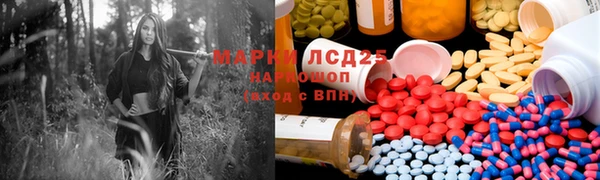 PSILOCYBIN Горняк